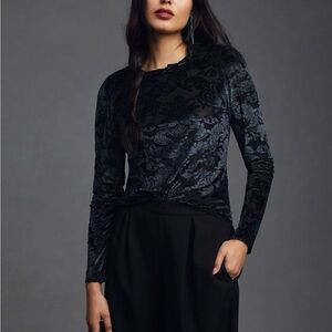 Anthropologie Sheer Velvet Burnout Top